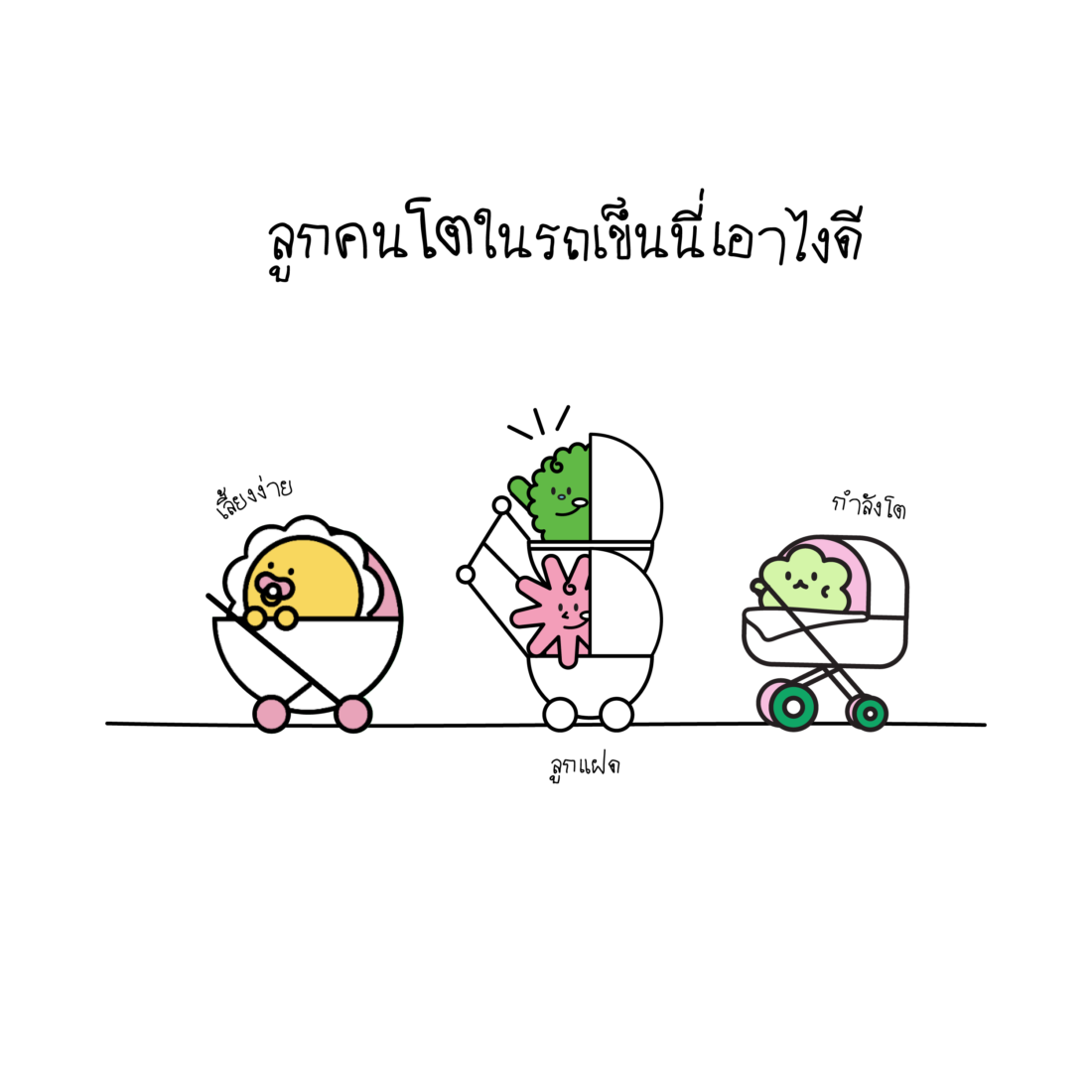 a¸a¸¢a¸xyd 12